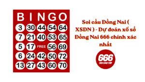 Soi cầu Đồng Nai ( XSDN ) - Dự đoán xổ số Đồng Nai 666 chính xác nhất
